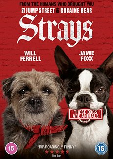 Strays 2023 DVD