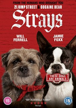 Strays 2023 DVD - Volume.ro