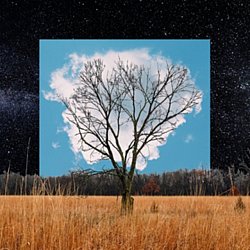 Fink - Bloom Innocent - Volume.ro
