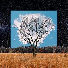Fink - Bloom Innocent
