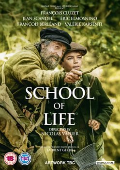 School of Life 2017 DVD - Volume.ro