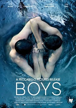Boys 2014 DVD - Volume.ro