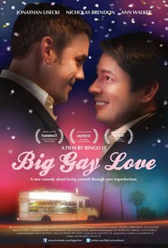 Big Gay Love 2013 DVD - Volume.ro