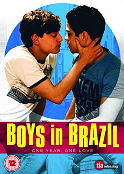 Boys in Brazil 2014 DVD - Volume.ro