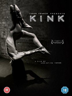 Kink 2013 DVD - Volume.ro