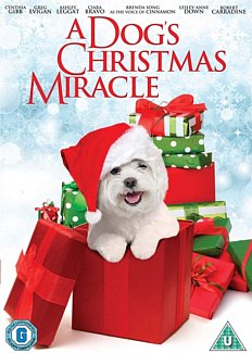 A   Dog's Christmas Miracle 2011 DVD