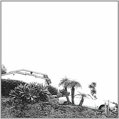 Timber - Hot Dreams CD