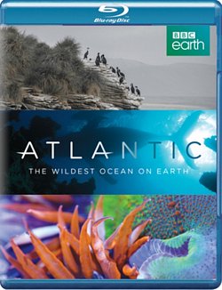 Atlantic - The Wildest Ocean On Earth 2015 Blu-ray - Volume.ro
