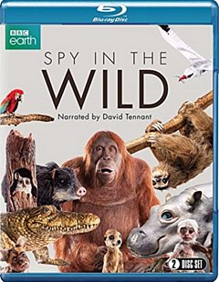 Spy in the Wild 2017 Blu-ray