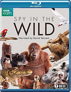 Spy in the Wild 2017 Blu-ray