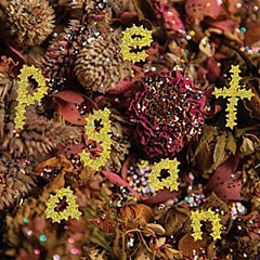 PWR BTTM - Pageant