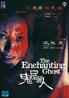 The Enchanting Ghost 1970 DVD