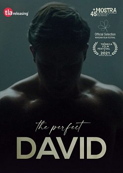 The Perfect David 2021 DVD - Volume.ro