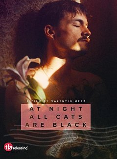 At Night All Cats Are Black  DVD