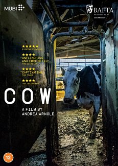 Cow 2021 DVD