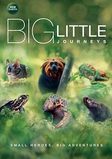 Big Little Journeys 2023 DVD