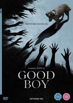 Good Boy 2025 DVD - Volume.ro