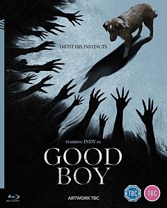Good Boy 2025 Blu-ray