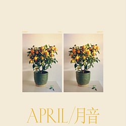 Emmy The Great - April - Volume.ro