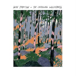 Will Stratton - The Changing Wilderness - Volume.ro