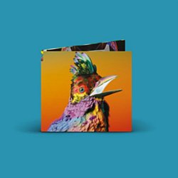 Flume - Palaces CD - Volume.ro
