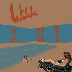 Andy Shauf - Wilds - Volume.ro