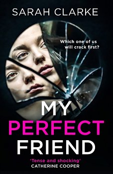 My Perfect Friend - Volume.ro