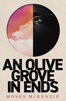 An Olive Grove in Ends : The dazzling debut novel about love, faith and community, by an electrifying new voice