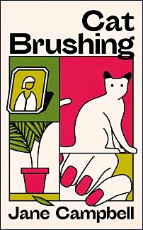 Cat Brushing : a dazzling short story collection about thirteen older women