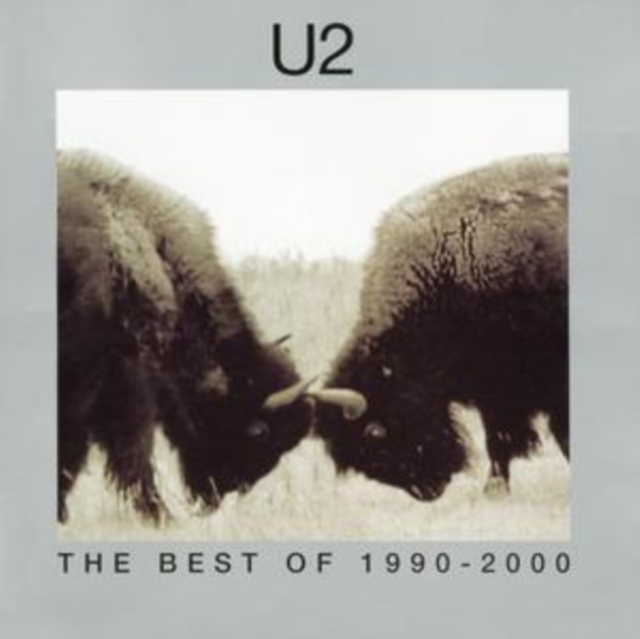 U2 - The Best of 1990-2000 - Volume.ro