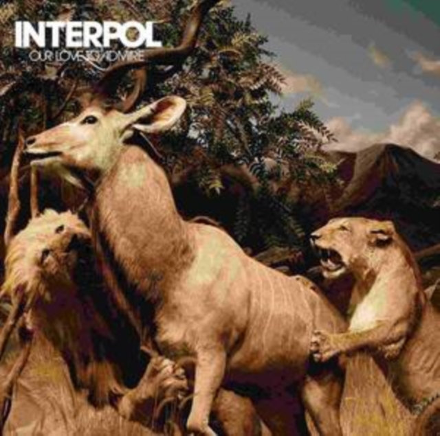 Interpol - Our Love to Admire CD - Volume.ro
