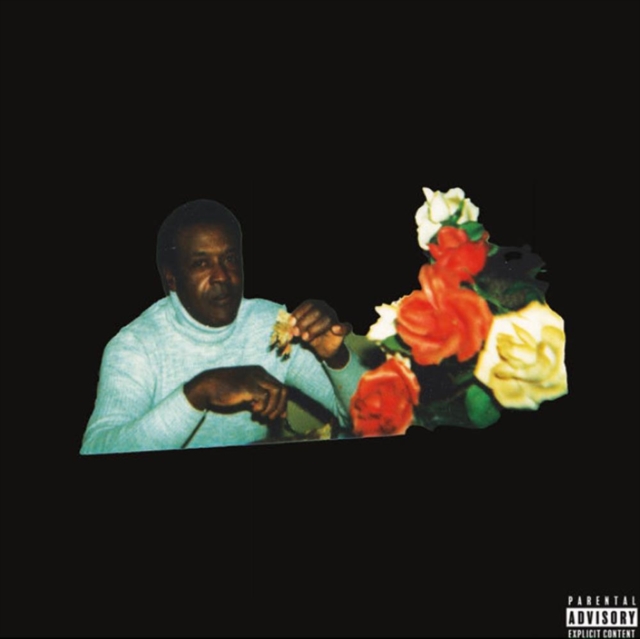 Vince Staples - Ramona Park Broke My Heart CD - Volume.ro
