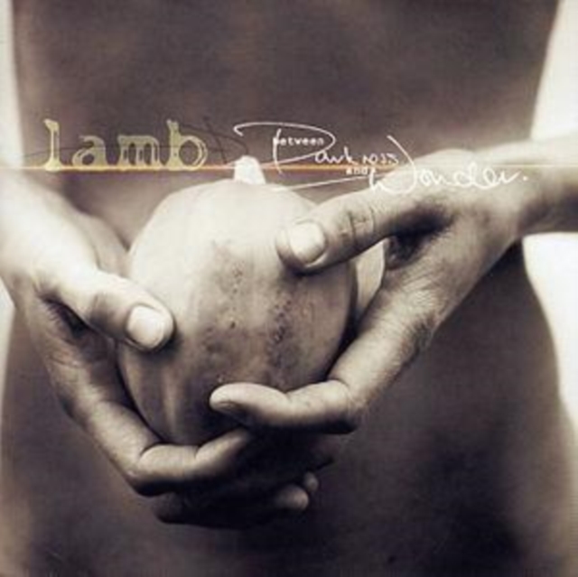 Lamb - Between Darkness and Wonder - Volume.ro