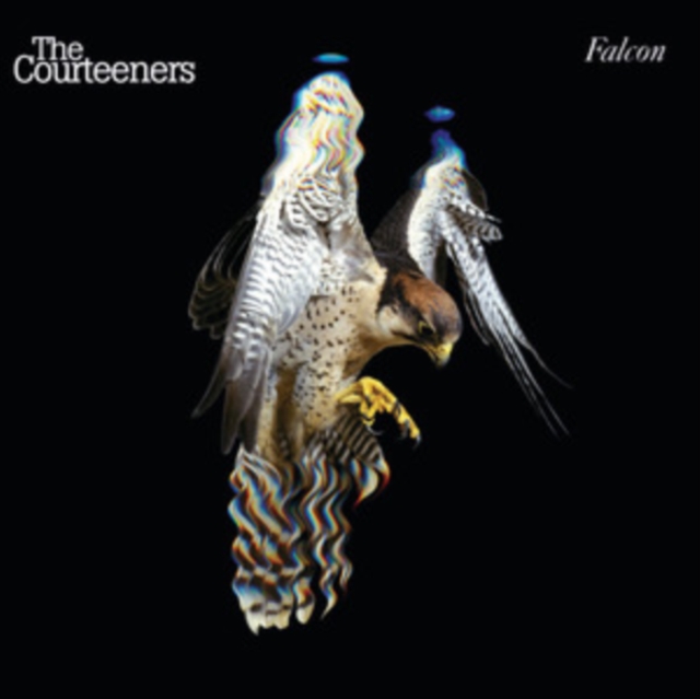 Courteeners - Falcon - Volume.ro
