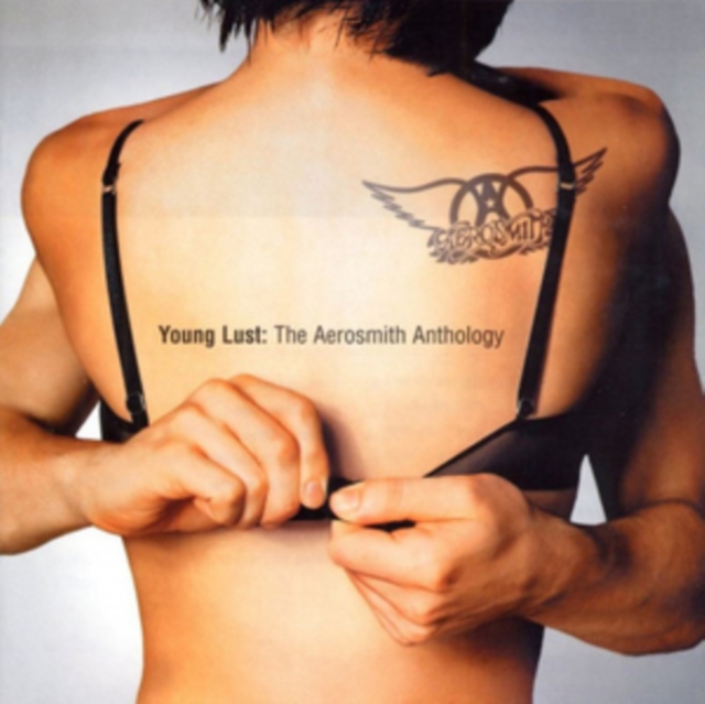 Aerosmith - Young Lust - Volume.ro