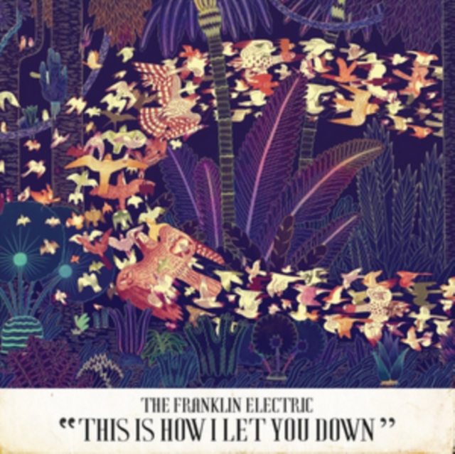 The Franklin Electric - This Is How I Let You Down - Volume.ro