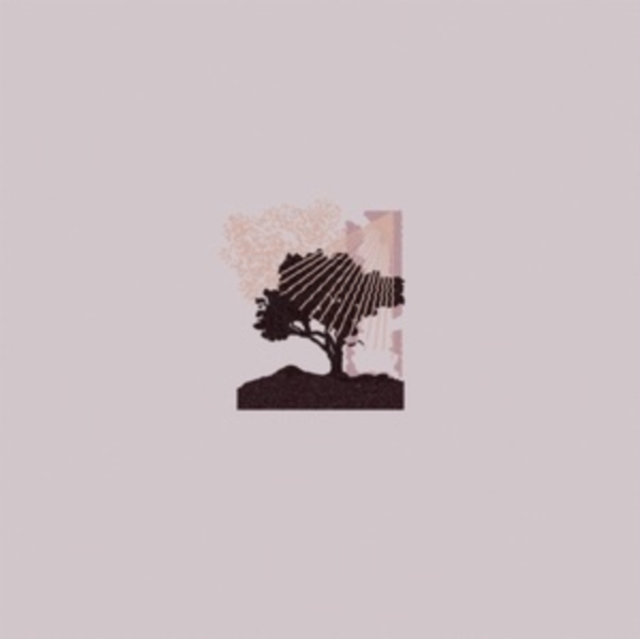 Land Of Talk - Performances - Volume.ro