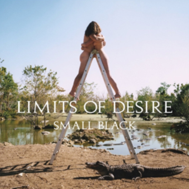 Small Black - Limits of Desire - Volume.ro