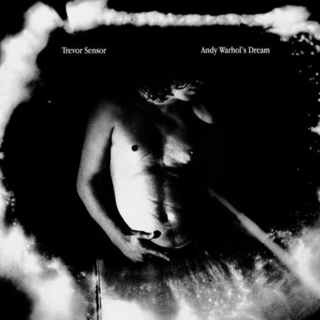 Trevor Sensor - Andy Warhol's Dream - Volume.ro