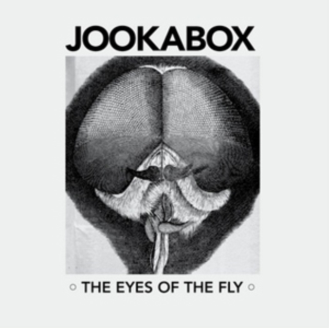 Jookabox - The Eyes of the Fly - Volume.ro