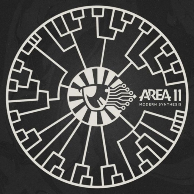 Area 11 - Modern Synthesis - Volume.ro