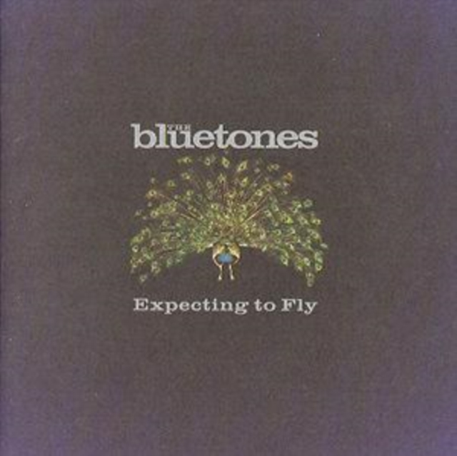 Bluetones - Expecting to Fly - Volume.ro
