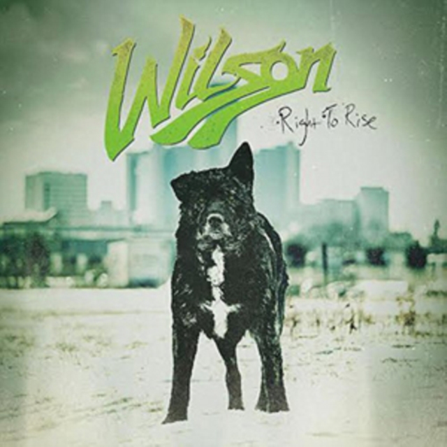 Wilson - Right to Rise - Volume.ro