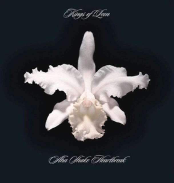 Kings of Leon - Aha Shake Heartbreak - Volume.ro
