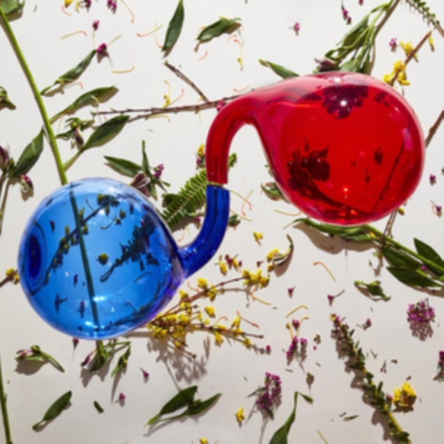 Dirty Projectors - Lamp Lit Prose - Volume.ro