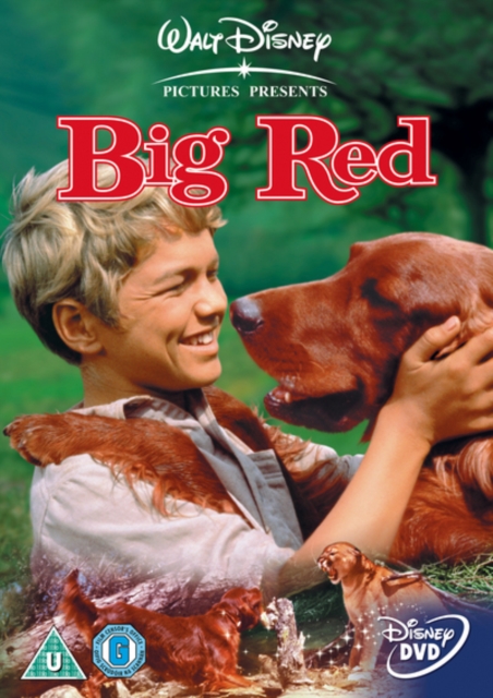 Big Red 1962 DVD - Volume.ro