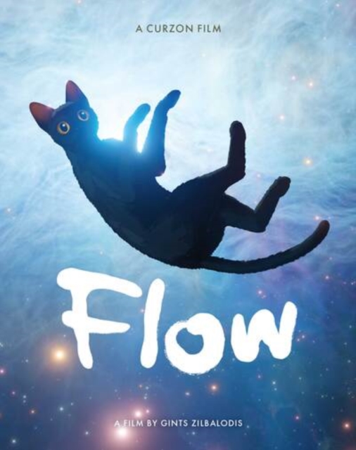 Flow 2024 Blu-ray / 4K Ultra HD + Blu-ray (Limited Edition) - Volume.ro