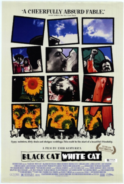 Black Cat White Cat 1998 DVD - Volume.ro