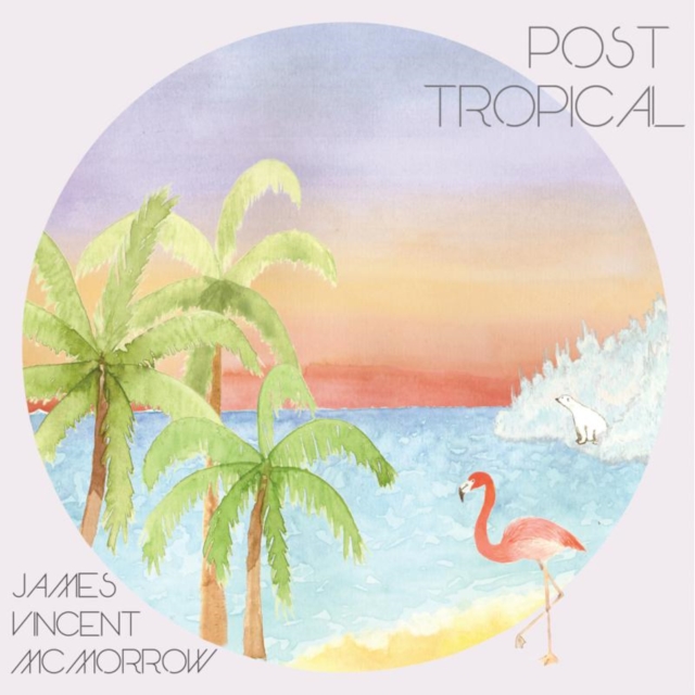 James Vincent Mcmorrow - Post Tropical - Volume.ro