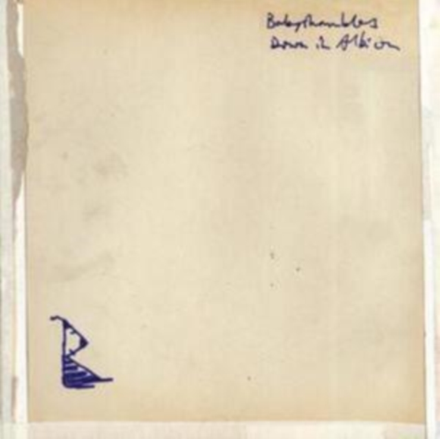 Babyshambles - Down in Albion - Volume.ro